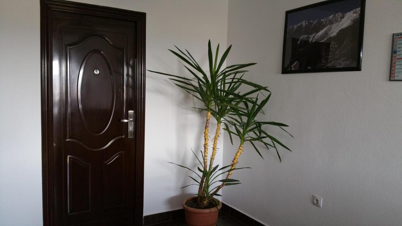 Rosenville Rîşnov Buitenkant foto
